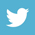 twitter logo-blue boxSM